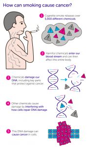 روند تاثیر سیگار در ابتلا به سرطان